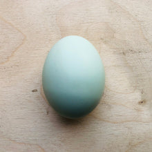 Load image into Gallery viewer, cream crested hatching eggs for sale 