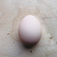 Load image into Gallery viewer, fertile sussex hatching eggs for sale uk