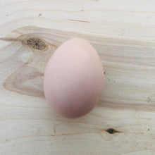 Load image into Gallery viewer, buff sussex hatching eggs